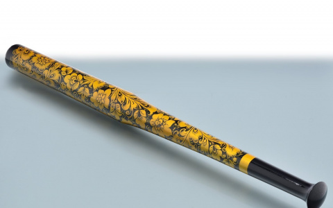 Житель Собинки с помощью сувенирной биты "отучил" друга грубить маме