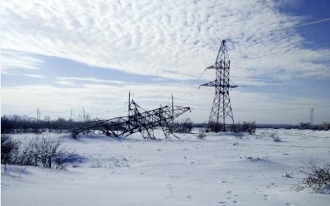 Из-за падения дерева часть Владимира была обесточена: где и когда