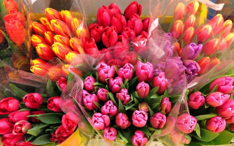 В Роспотребнадзоре рассказали как правильно покупать цветы