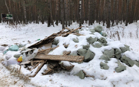 В Коврове обнаружили две незаконные свалки с кучами строительного мусора