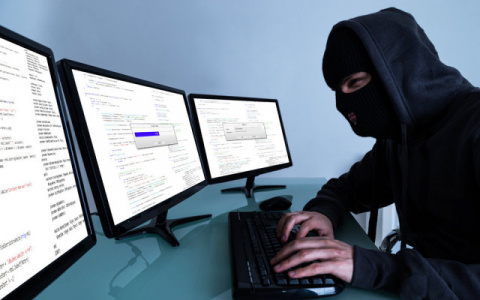 Полицейские Владимира задержали преступника в Ленинградской области