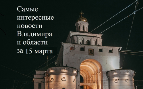 Владимир за день: смертельный пожар, массовая драка на Масленице и бездомные собаки