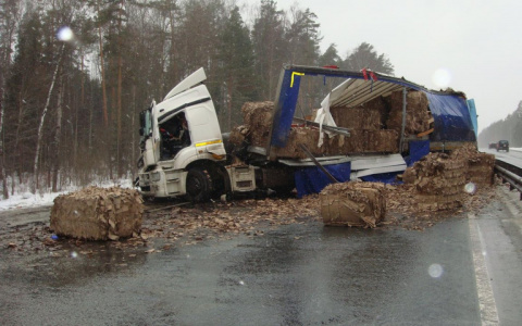 Во Владимирской области за неделю произошло 412 ДТП