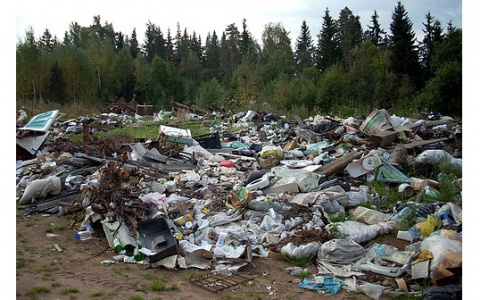 В Гусь-Хрустальном ликвидировали незаконную мусорную свалку
