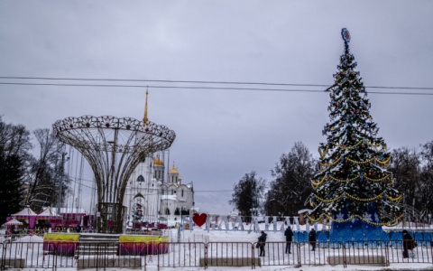 Владимир за день: чёрный копатель, рейд ГИБДД и брат губернатора