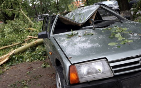 Владимирец засудил управляющую компанию за упавшее на автомобиль дерево