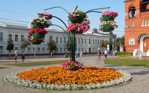 Мэрия сэкономит на городских клумбах и цветниках около пяти миллионов рублей