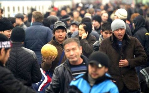 25 мигрантов "приютили" у себя жители Владимирской области