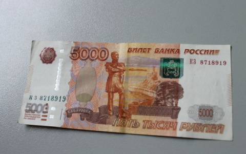 Фальшивомонетчик из Рязани, промышлявший в Суздале, получил срок