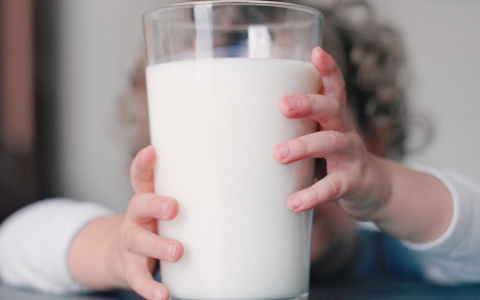 Владимирских детей кормили молочкой без документов в одной из больниц