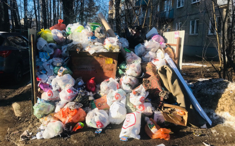 "Деньги собирают, а мусор не вывозят": жители Балакирева жалуются на ТСЖ