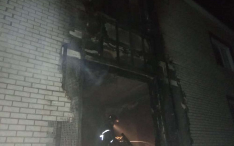 Двое маленьких детей и их бабушка погибли на пожаре в Вязниках