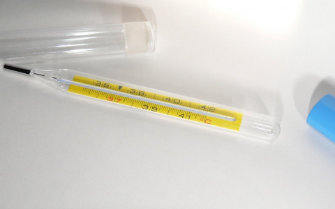 Заболеваемость ОРВИ и гриппом в области держится на уровне ниже эпидпорога