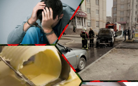 Владимир за день: змеи, вспыхнувшее авто и агрессивный подросток