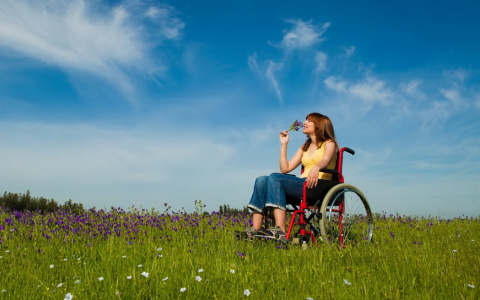 Только после обращения в прокуратуру инвалиду выделили земельный участок