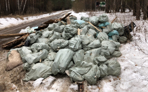 Ковровских чиновников заставили убрать несанкционированную свалку