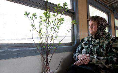 Предпенсионеры в дачный сезон получат скидку на проезд в электричке