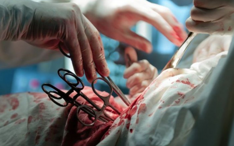 Владимирцу вырезали почку после "вечеринки" на Северной