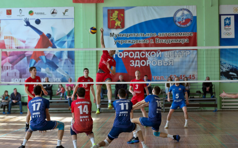 Владимирские волейболисты вышли в высшую лигу