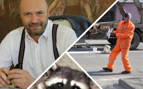 Владимир за день: дерзкое ограбление, дело Конышева и бешеный енот