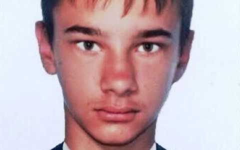 Владимирцев просят помощи в поисках юного жителя Петушков