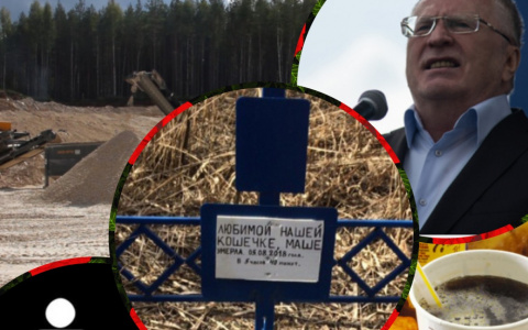 Владимир за день: смертельные продукты, кошачья могила и Жириновский