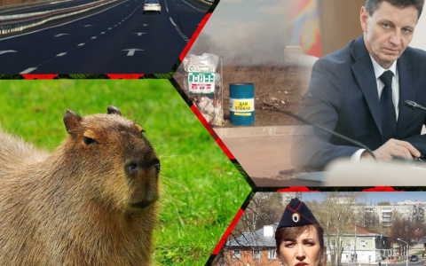 Владимир за день: платная дорога, страшное ДТП и суровый губернатор