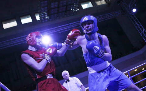 Владимирские боксеры отстояли честь страны на "Кубке четырех"