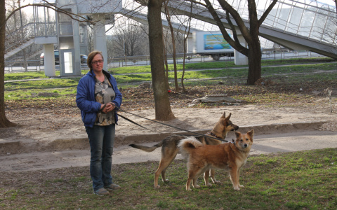 "Собачьи войны": владимирцы против выгула животных в общественных местах