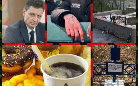 Владимир за неделю: смертельные продукты, могила для кошки и мусор