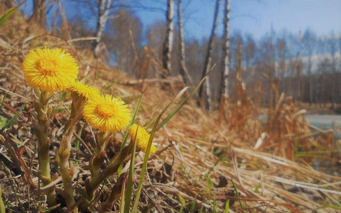 Погода во Владимире и области на 5 мая