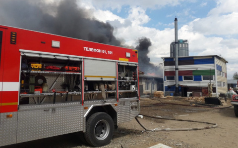 Крупный пожар в Александрове уничтожил 2000 квадратных метров