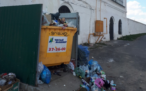 Владимирцы жалуются на помойку в самом центре города