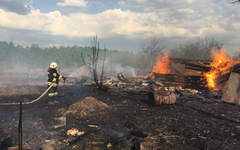 Во Владимирской области вчера горели Барсуки