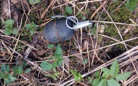 Житель Александровского района нашел на своем участке гранату