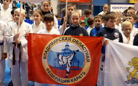 Владимирские каратисты завоевали 6 медалей на всероссийских соревнованиях