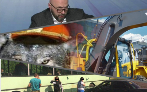 Владимир за день: выпавшая девочка, оборотни в погонах и арест Конышева