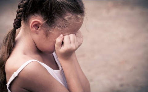 Жителя Меленок посадили на 12 лет за изнасилование ребенка