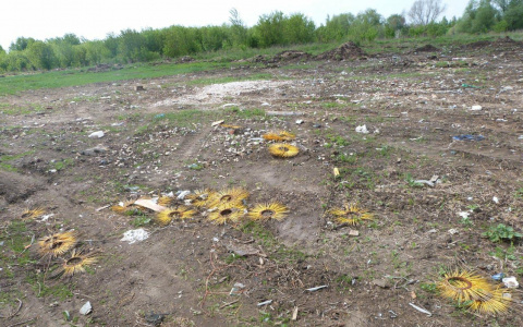Природоохранная прокуратура обнаружила загрязнение территории в Добром