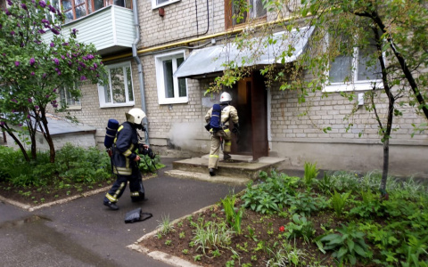 Пожарные в Муроме вытащили 9 человек из задымлённого здания