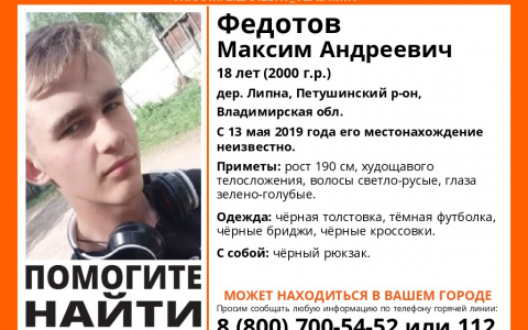 Владимирцев просят помощи в поисках пропавшего молодого человека