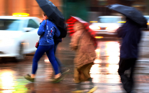 Кажется, дождь собирается. Срочные новости от Gismeteo!