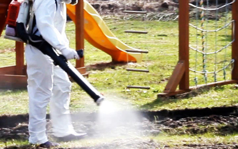 Детские учреждения в Муроме принудительно обработают от клещей