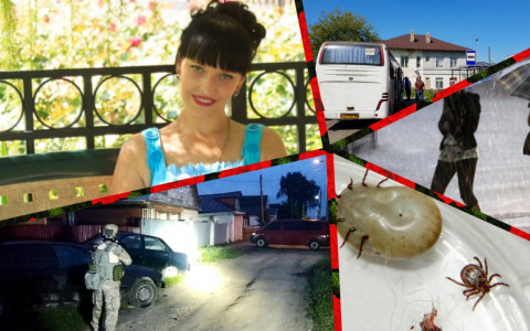 Владимир за день: смертельное ДТП, "Девушка-весна" и платные анализы