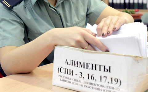 Ковров стал лидером по количеству алиментщиков во Владимирской области