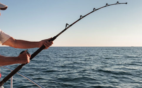 Правила хорошего улова: где и как рыбачат владимирцы?