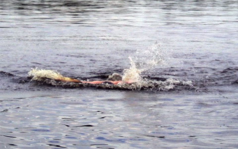 11-летний мальчик утонул в Клязьме, пока его мама отвлеклась