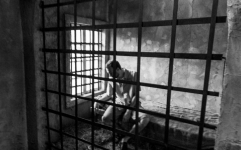 Наглый автостопер облюбовал придорожное кафе под Владимиром