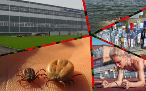 Владимир за день: смерть в пруду, швырятели канистр и "Сказка" в Судогде