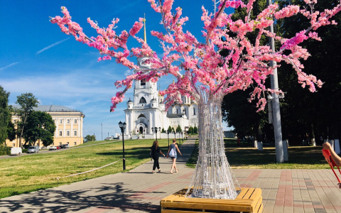 Вместо "Я люблю Владимир" на Соборной появилась сакура